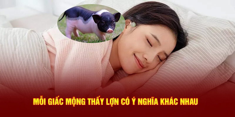 Mỗi giấc mộng thấy lợn có ý nghĩa khác nhau 