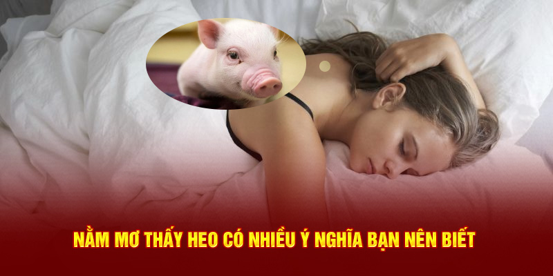 Nằm mơ thấy heo có nhiều ý nghĩa bạn nên biết